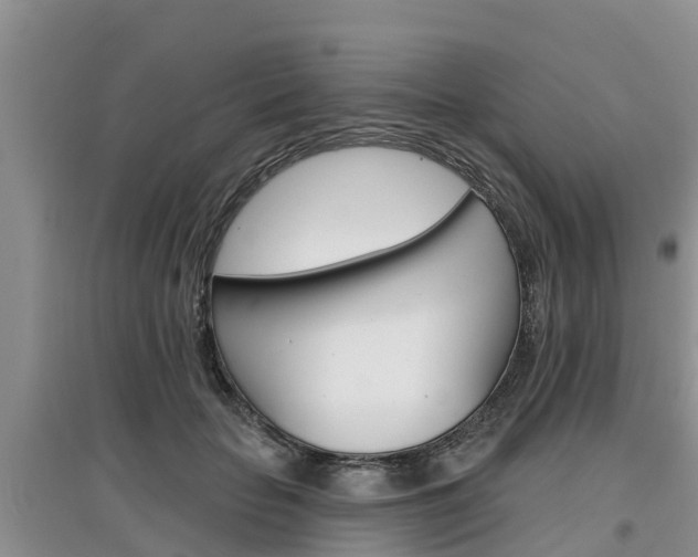 X0000097910653200803141030