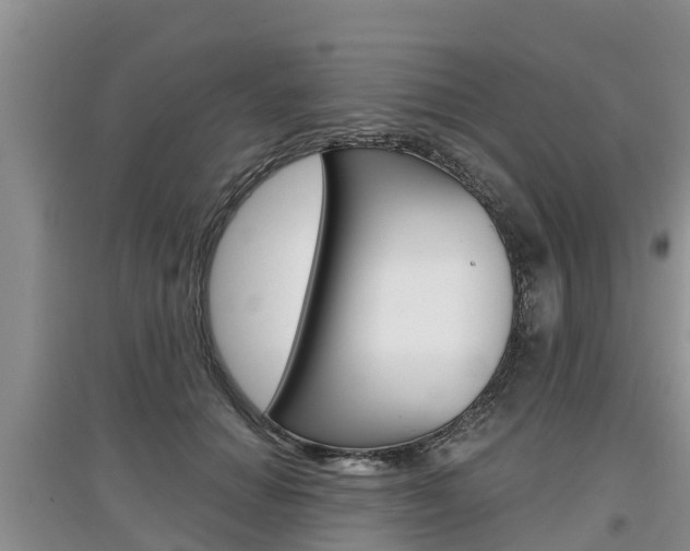 X0000097910654200803141030