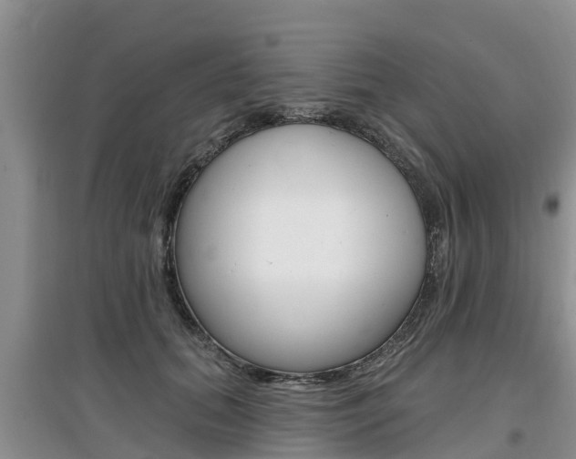 X0000097910655200803141030