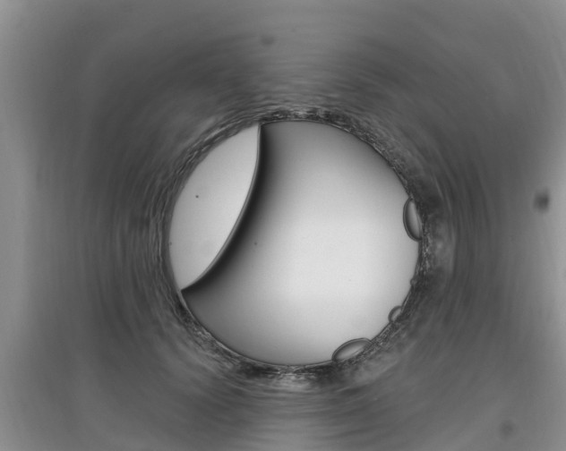 X0000097910656200803141030