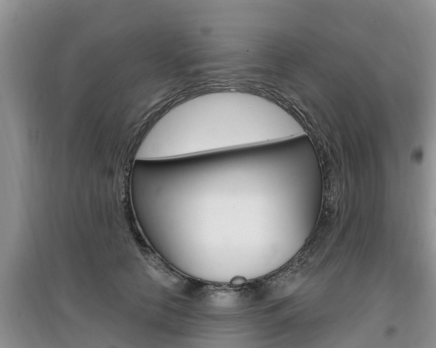 X0000097910658200803141030