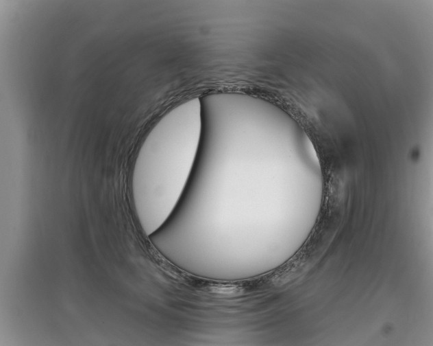 X0000097910659200803141030