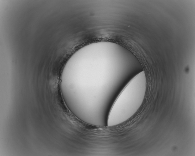 X0000097910660200803141030