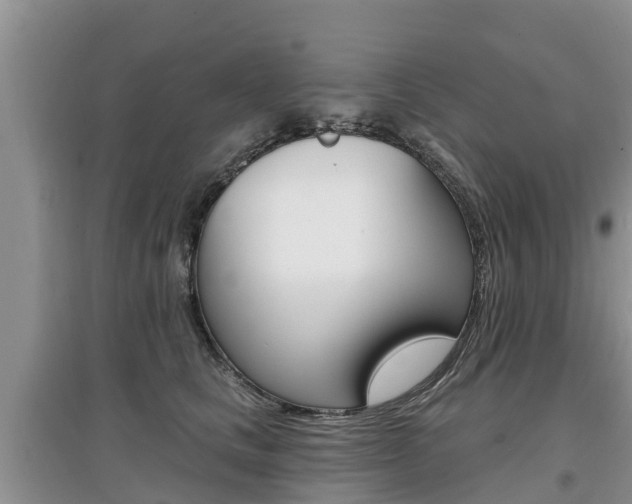 X0000097910661200803141030