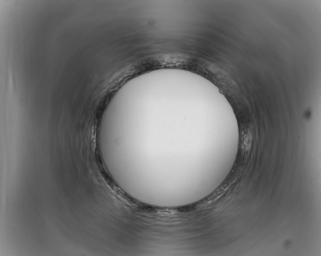 X0000097910666200803141030