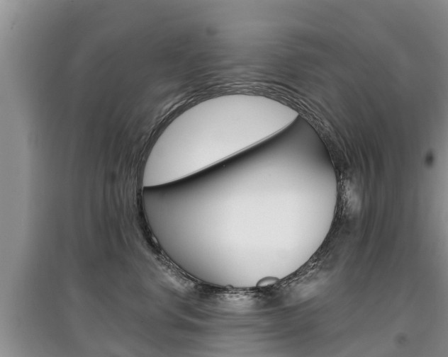 X0000097910668200803141030