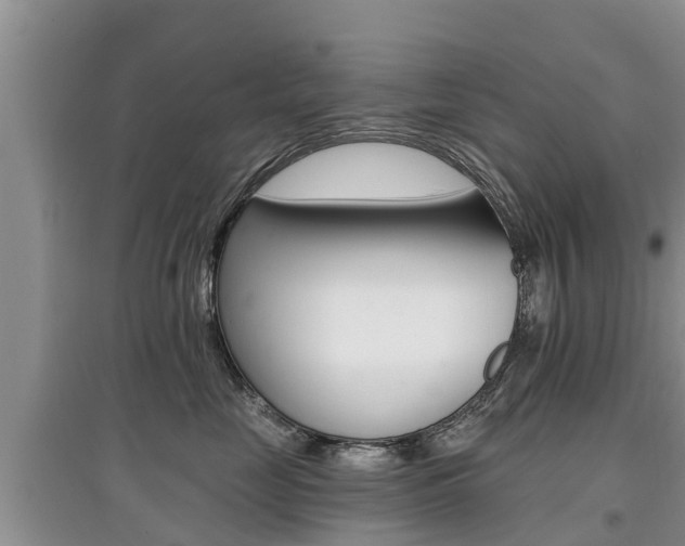 X0000097910669200803141030