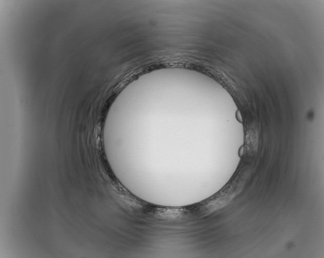 X0000097910671200803141030