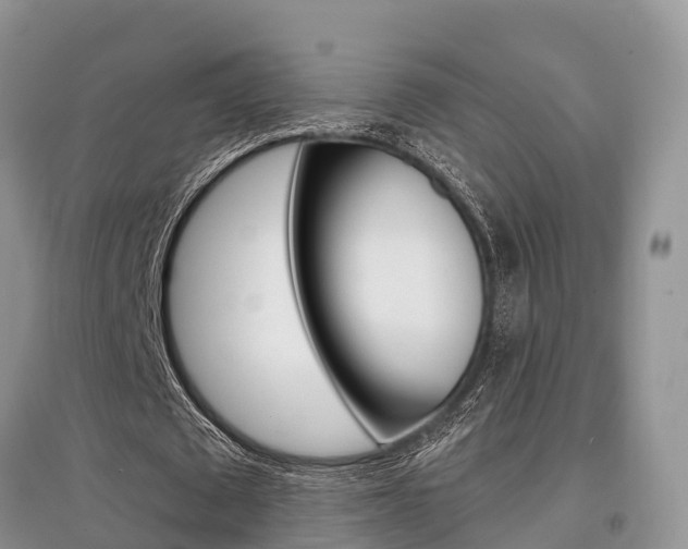 X0000097910673200803141030