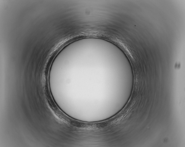 X0000097910674200803141030