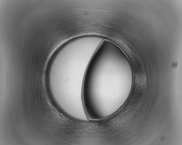 X0000097910676200803141030