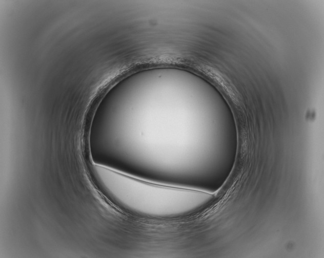 X0000097910677200803141030