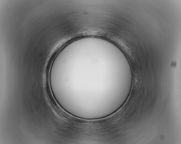 X0000097910678200803141030