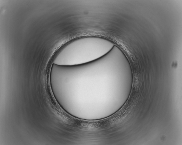 X0000097910679200803141030