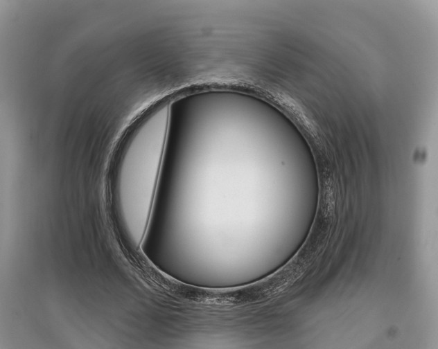 X0000097910680200803141030