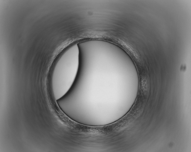 X0000097910682200803141030