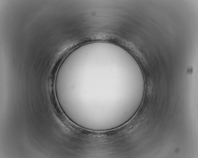 X0000097910683200803141030