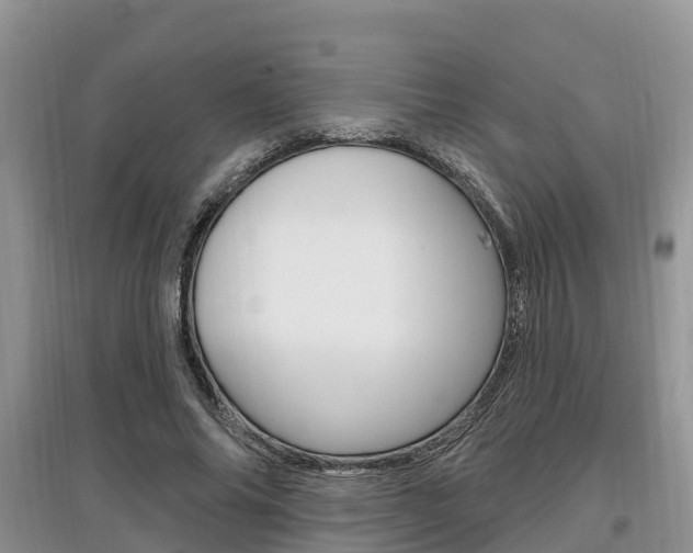 X0000097910686200803141030