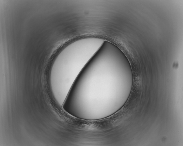 X0000097910688200803141029