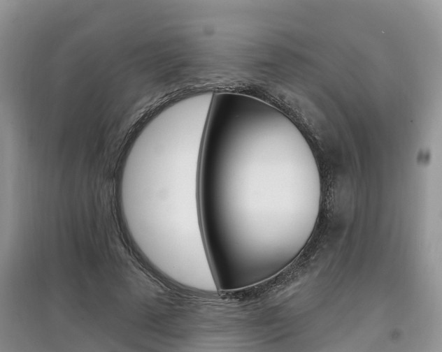 X0000097910689200803141029