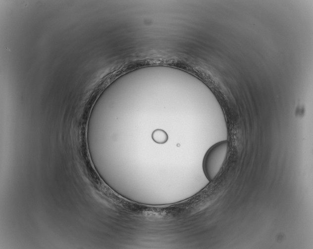 X0000097910690200803141029