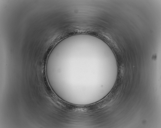 X0000097910691200803141029