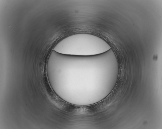 X0000097910695200803141029