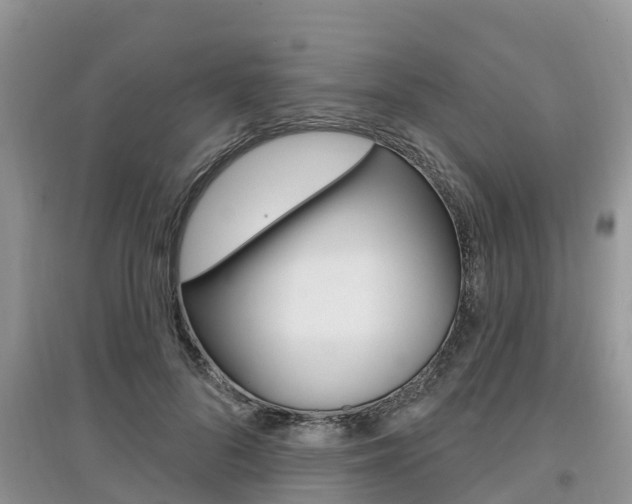 X0000097910696200803141029