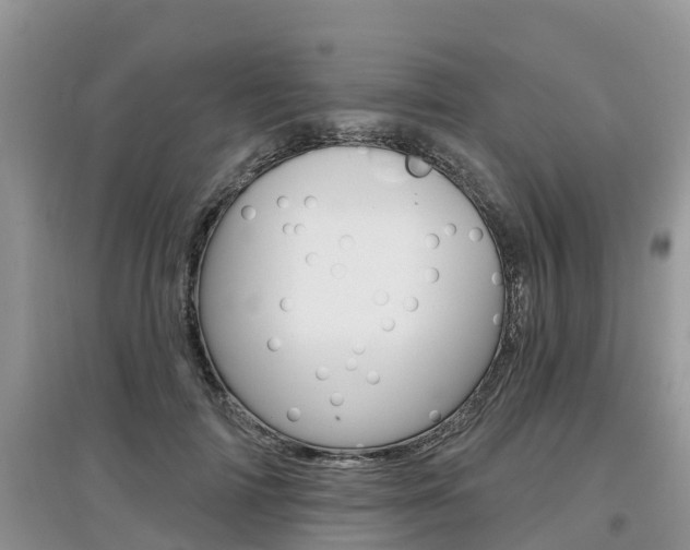 X0000097910698200803141029