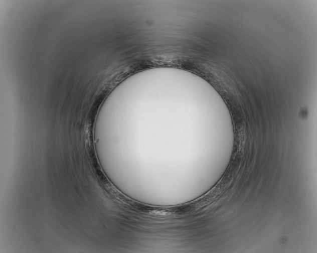 X0000097910699200803141029