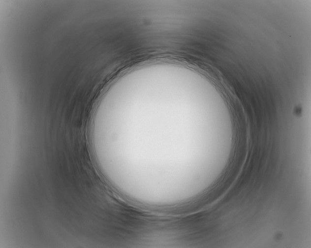 X0000097910701200803141029