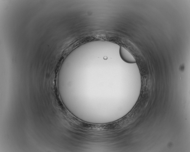 X0000097910702200803141029
