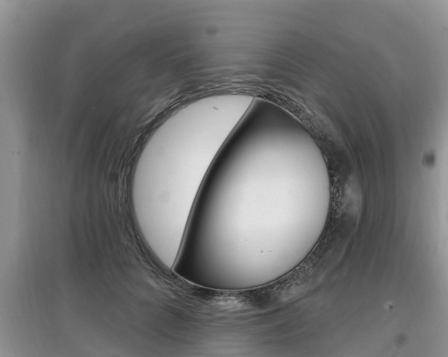X0000097910704200803141029