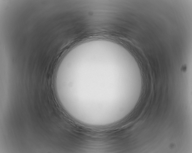 X0000097910705200803141029