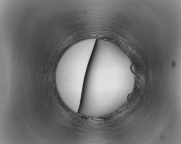 X0000097910707200803141029