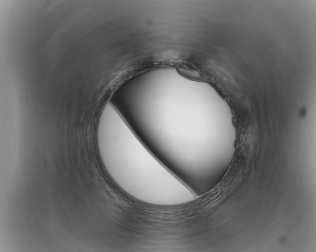 X0000097910708200803141029