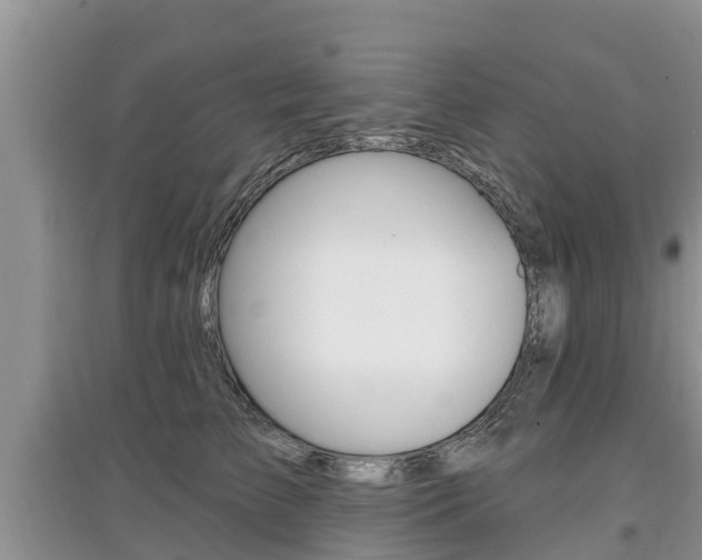 X0000097910709200803141029