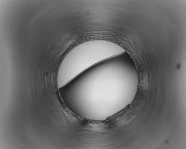 X0000097910712200803141029