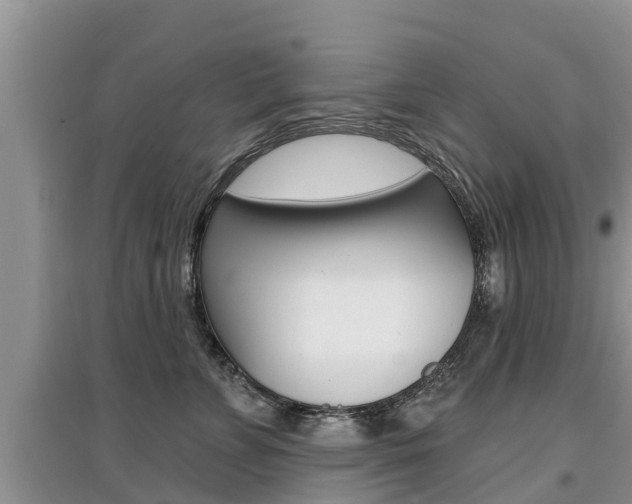 X0000097910715200803141029