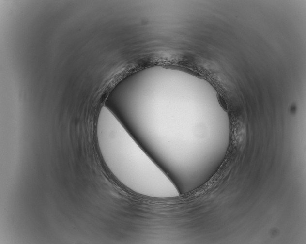 X0000097910716200803141029