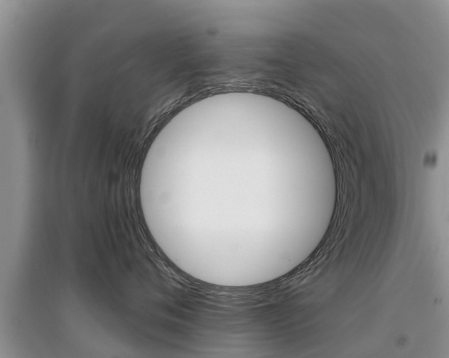 X0000097910720200803141029