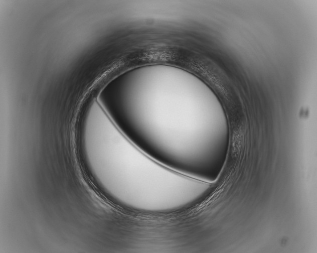 X0000097910722200803141028