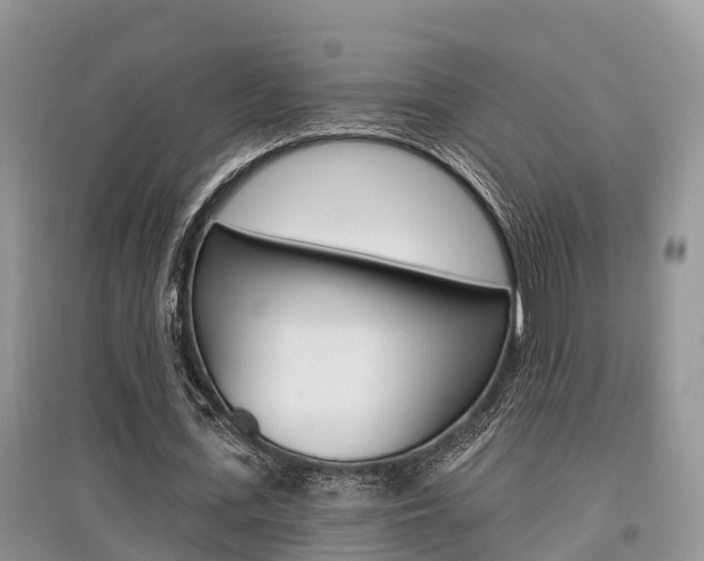 X0000097910723200803141028