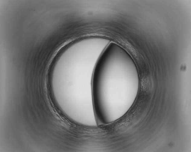 X0000097910724200803141028