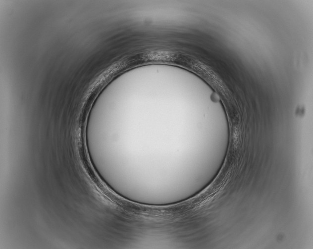 X0000097910725200803141028