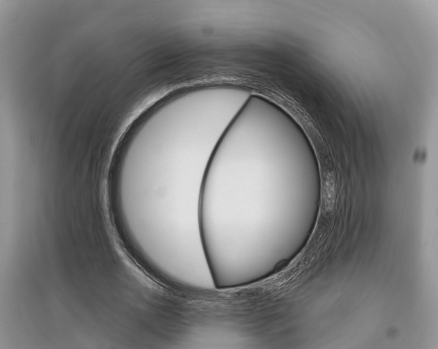 X0000097910726200803141028