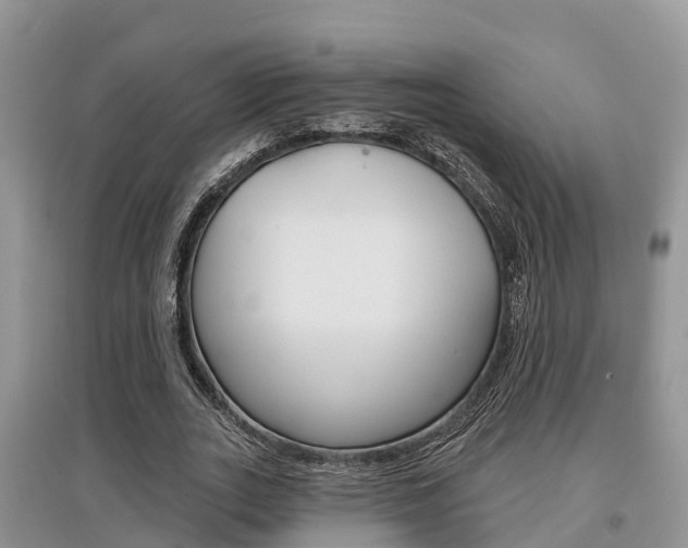 X0000097910727200803141028
