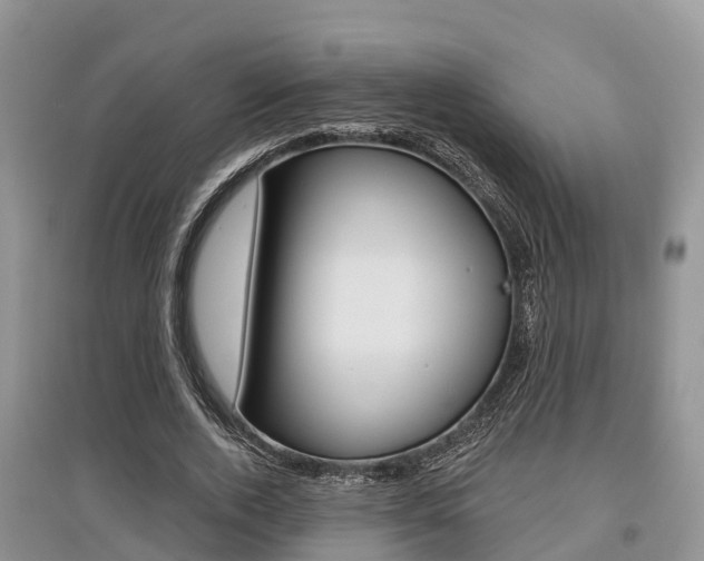 X0000097910728200803141028