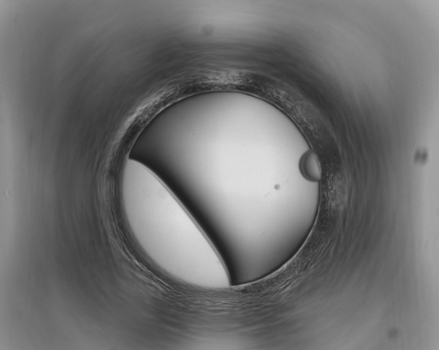 X0000097910731200803141029