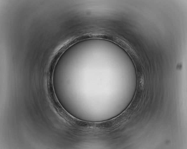 X0000097910732200803141029